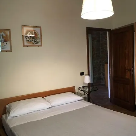 Prunello