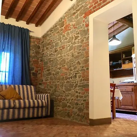 Prunello